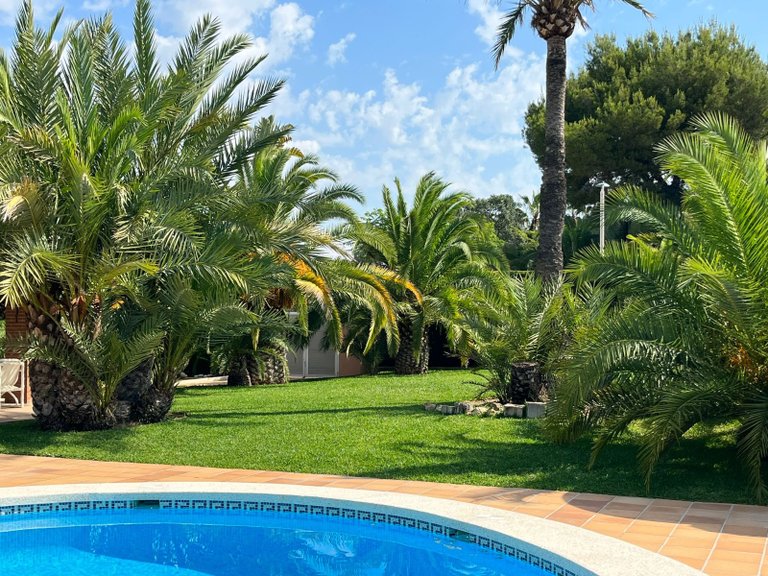 Villa for Sale in Benidorm, Alicante 33