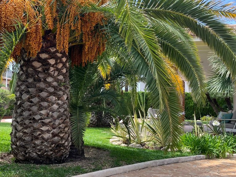 Villa for Sale in Benidorm, Alicante 39