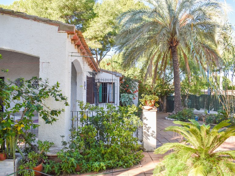 Villa for Sale in Punta Prima, Orihuela Costa, Alicante 11