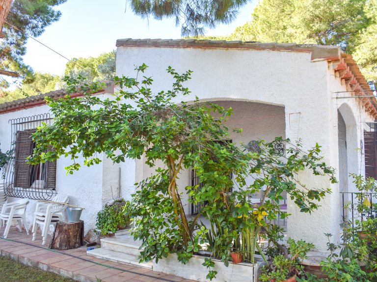 Villa for Sale in Punta Prima, Orihuela Costa, Alicante 8