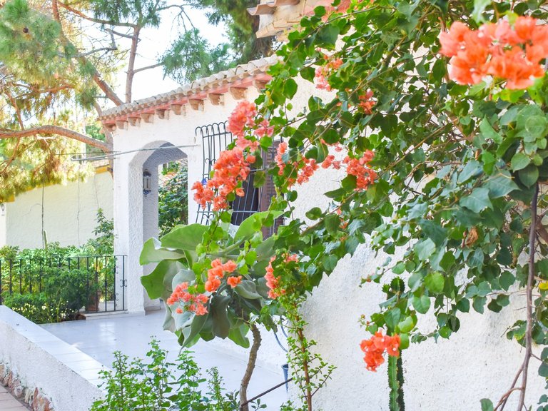 Villa for Sale in Punta Prima, Orihuela Costa, Alicante 17