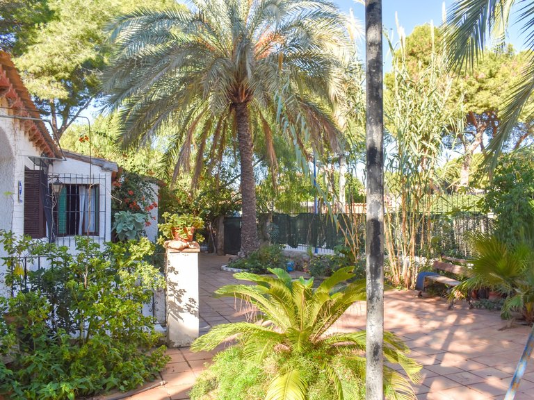 Villa for Sale in Punta Prima, Orihuela Costa, Alicante 12