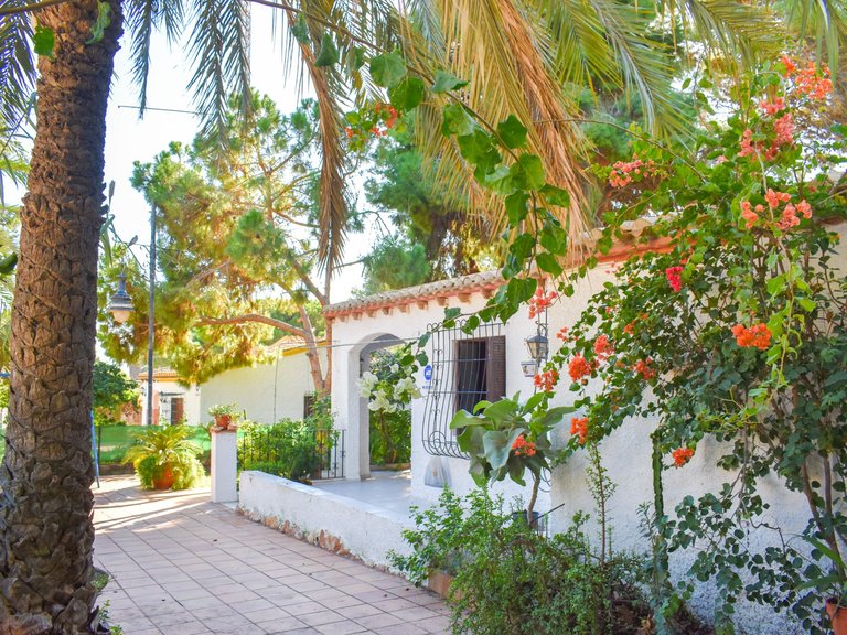 Villa for Sale in Punta Prima, Orihuela Costa, Alicante 7