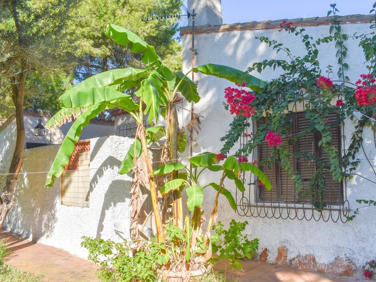 Villa for Sale in Punta Prima, Orihuela Costa, Alicante 15