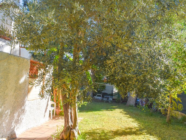 Villa for Sale in Punta Prima, Orihuela Costa, Alicante 41