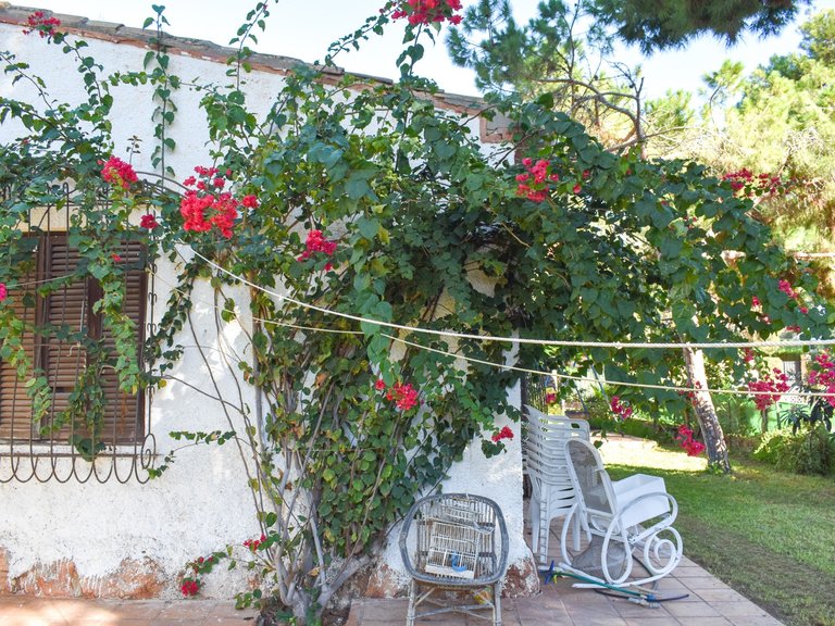 Villa for Sale in Punta Prima, Orihuela Costa, Alicante 44