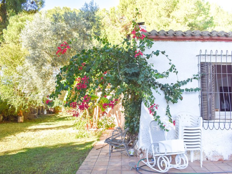 Villa for Sale in Punta Prima, Orihuela Costa, Alicante 13