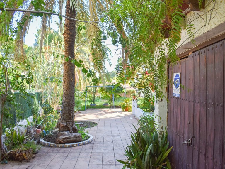 Villa for Sale in Punta Prima, Orihuela Costa, Alicante 6