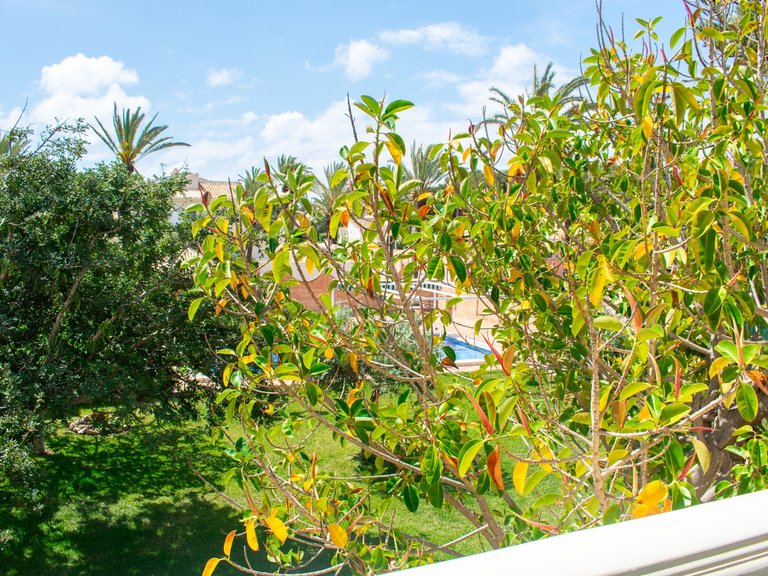 Villa for Sale in MUY CERCA DE LA PLAYA, Orihuela Costa, Alicante 31