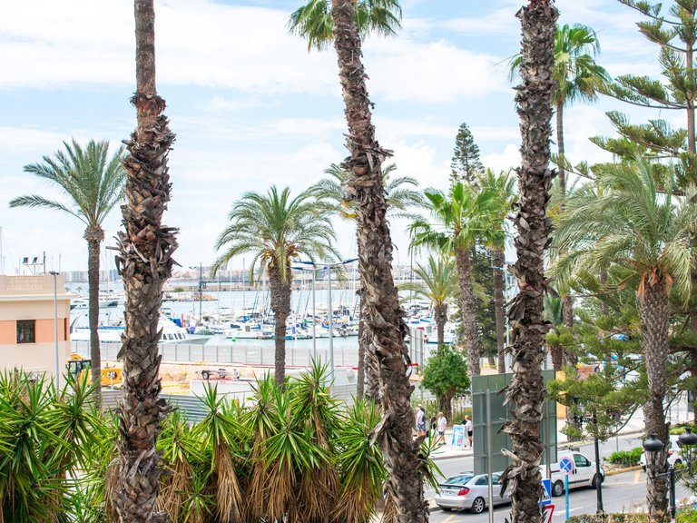 Apartment for Sale in Torrevieja Centro, Torrevieja, Alicante 42
