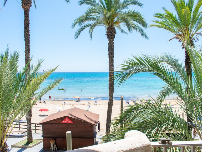 Apartment for Sale in Playa del cura, Torrevieja, Alicante 2