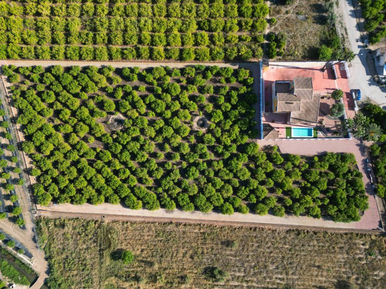 Country House for Sale in Orihuela, Alicante 1