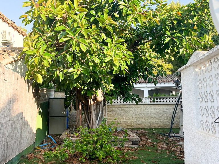 Villa for Sale in Punta Prima, Orihuela Costa, Alicante 15