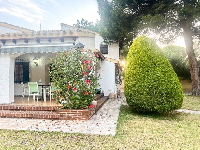 Villa for Sale in Punta Prima, Orihuela Costa, Alicante 7