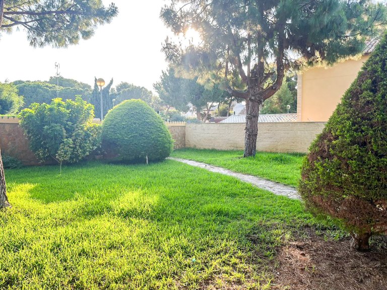 Villa for Sale in Punta Prima, Orihuela Costa, Alicante 12