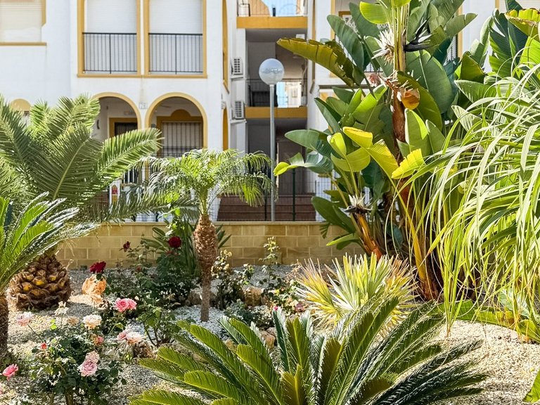 Penthouse for Sale in Torrelamata - La Mata, Torrevieja, Alicante 48