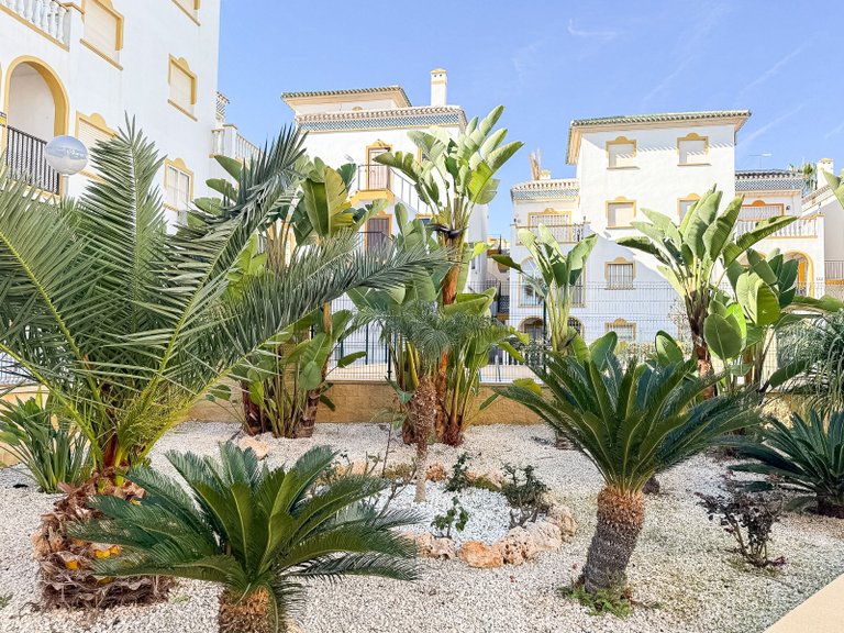 Penthouse for Sale in Torrelamata - La Mata, Torrevieja, Alicante 40