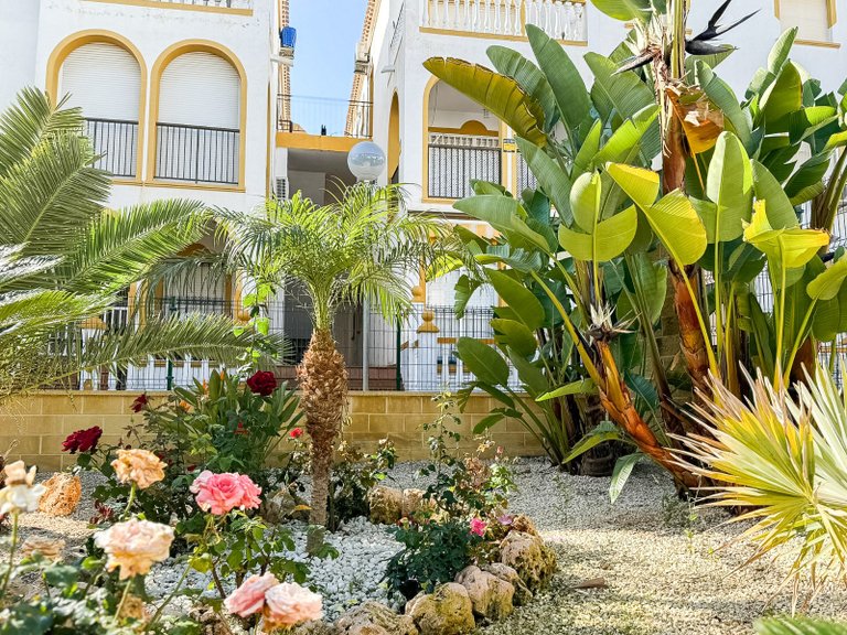 Penthouse for Sale in Torrelamata - La Mata, Torrevieja, Alicante 47