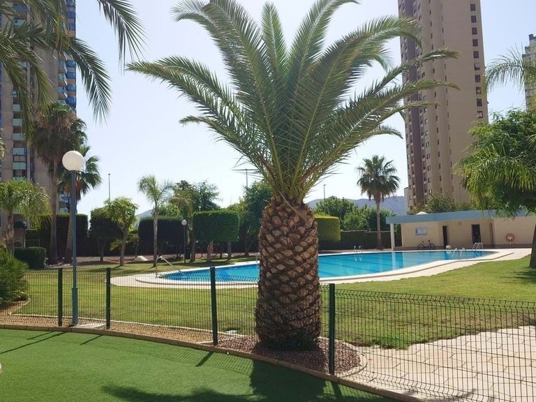Apartment for Sale in Benidorm, Alicante 1