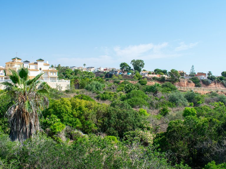 Apartment for Sale in Los Dolses, Orihuela Costa, Alicante 4