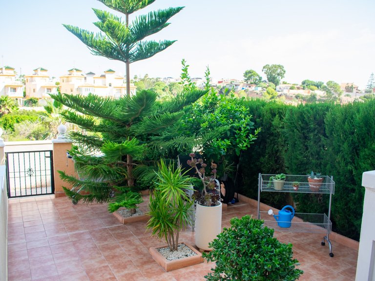 Apartment for Sale in Los Dolses, Orihuela Costa, Alicante 3