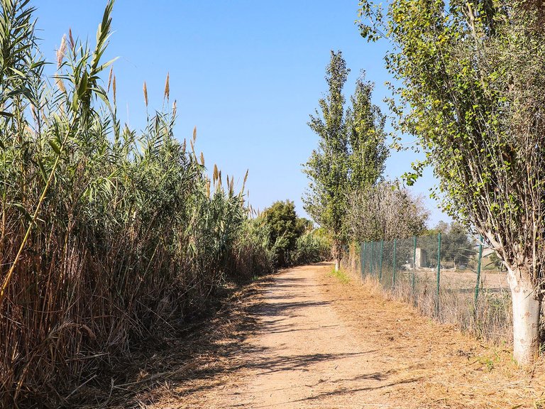Villa for Sale in Ciudad Quesada, Ciudad Quesada - Rojales, Alicante 35
