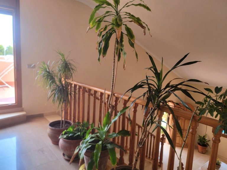 Villa for Sale in Aguas Nuevas, Torrevieja, Alicante 41