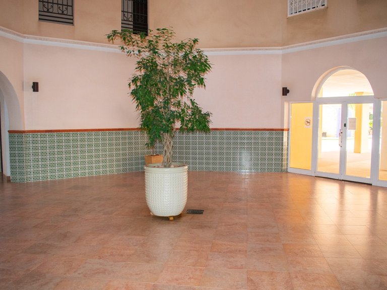 Apartment for Sale in Playa de los Locos, Torrevieja, Alicante 30