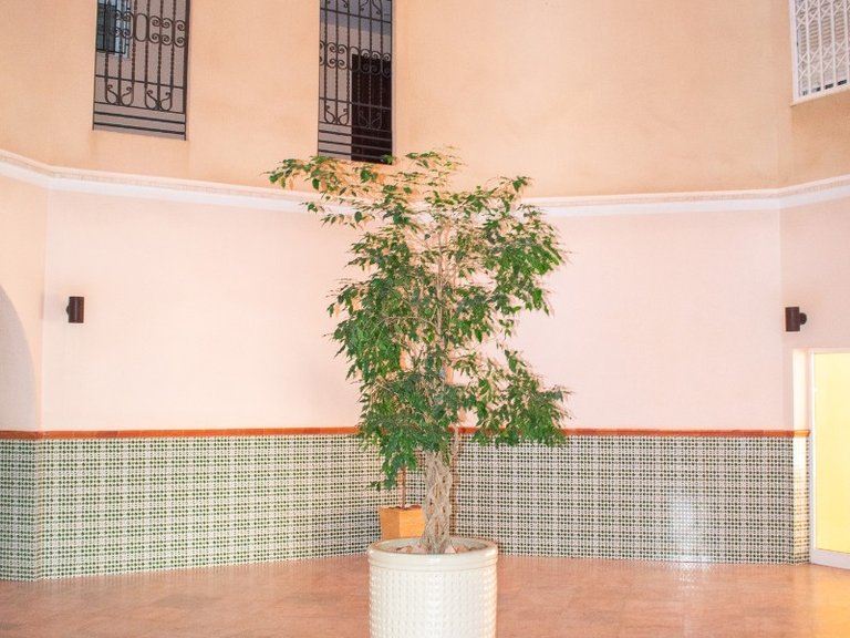 Apartment for Sale in Playa de los Locos, Torrevieja, Alicante 31