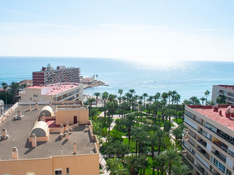 Apartment for Sale in Playa de los Locos, Torrevieja, Alicante 33