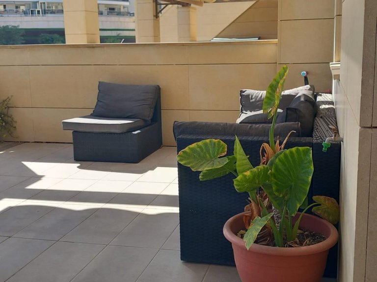 Apartment for Sale in Arenales Del Sol, Alicante 19