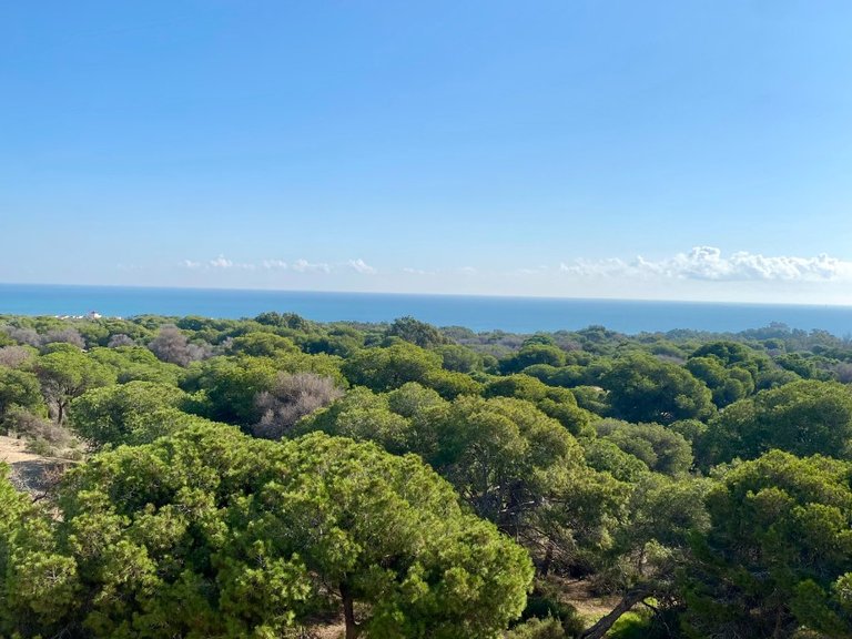 Apartment for Sale in Centro, Guardamar Del Segura, Alicante 26