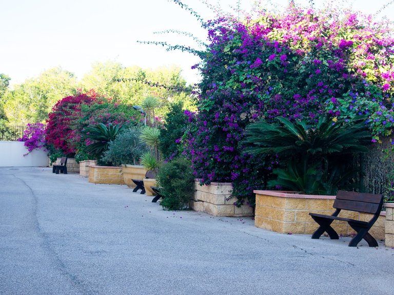 Apartment for Sale in Orihuela Costa, Orihuela, Alicante 32