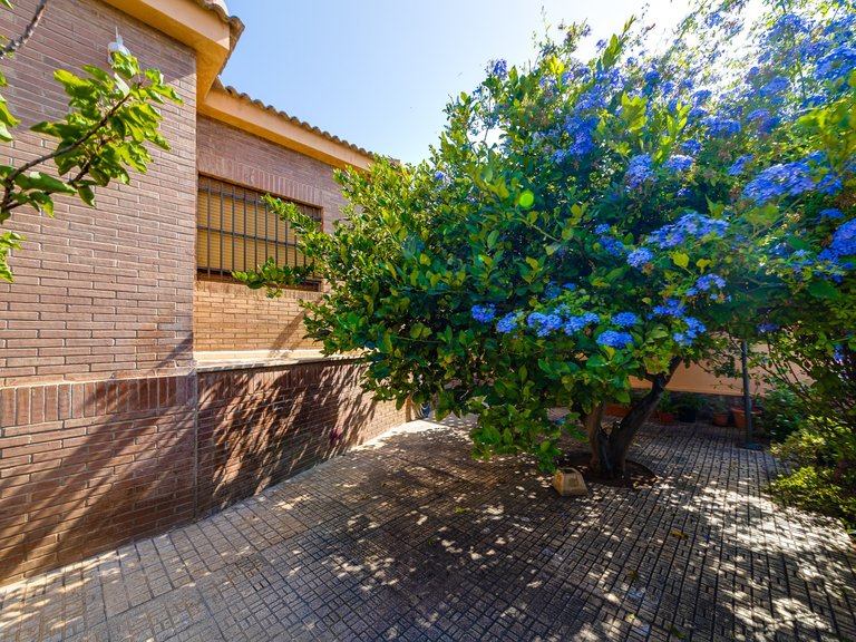 Villa for Sale in La Mata, Torrevieja, Alicante 42