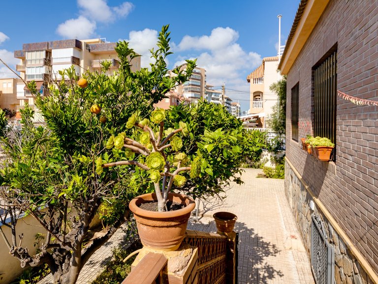 Villa for Sale in La Mata, Torrevieja, Alicante 40