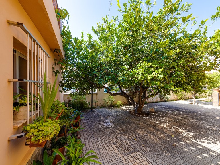 Villa for Sale in La Mata, Torrevieja, Alicante 48