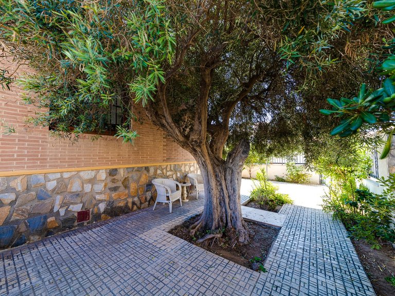 Villa for Sale in La Mata, Torrevieja, Alicante 45