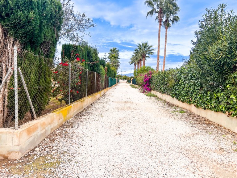 Villa for Sale in Dolores, Alicante 49
