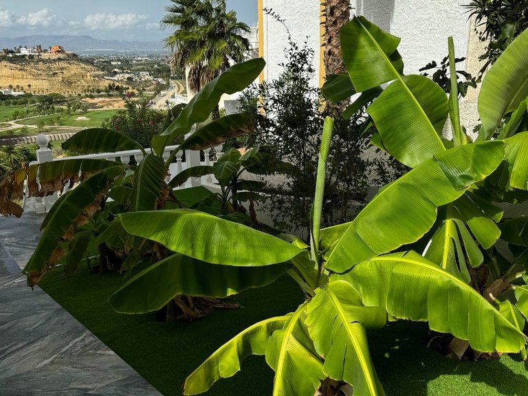 Villa for Sale in Ciudad Quesada, Ciudad Quesada - Rojales, - 6
