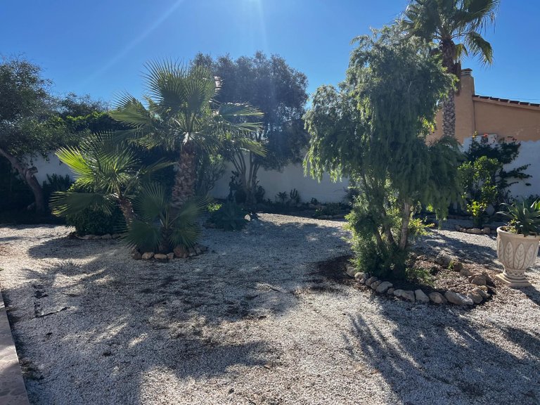 Villa for Sale in El chaparral, Torrevieja, Alicante 26