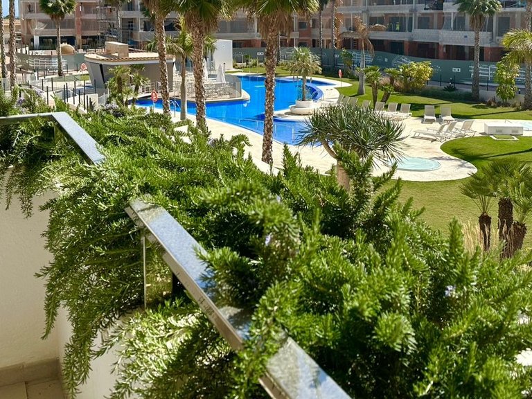 Apartment for Sale in Playa Flamenca, Orihuela Costa, Alicante 19