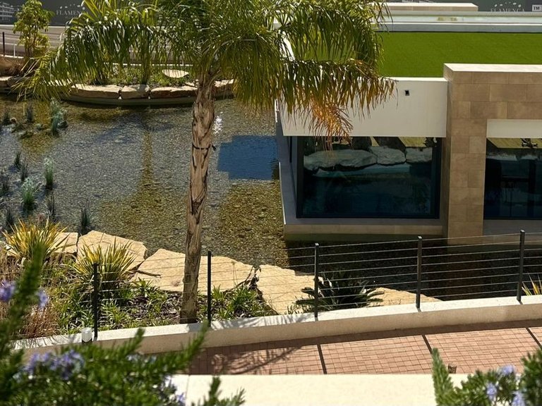 Apartment for Sale in Playa Flamenca, Orihuela Costa, Alicante 30