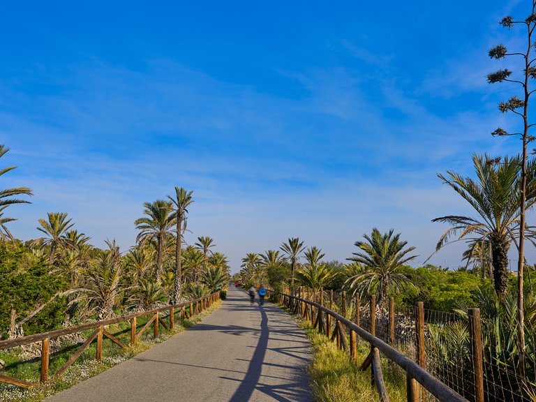 Town House for Sale in Guardamar Del Segura, Alicante 24