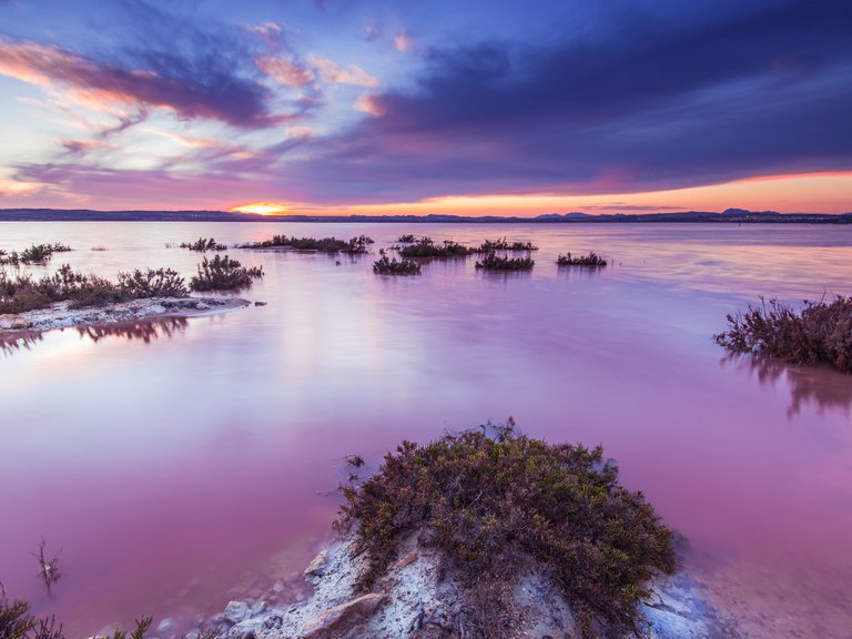 Apartment for Sale in Torrevieja, Alicante 15