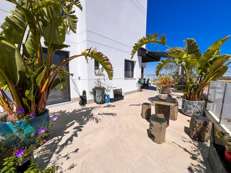 Villa for Sale in Los Balcones, Torrevieja, Alicante 9