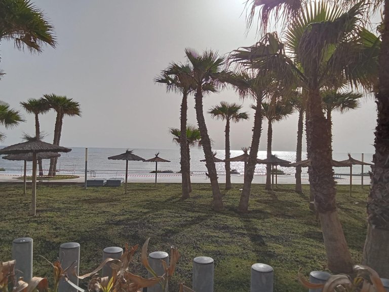 Apartment for Sale in Punta Prima, Torrevieja, Alicante 38