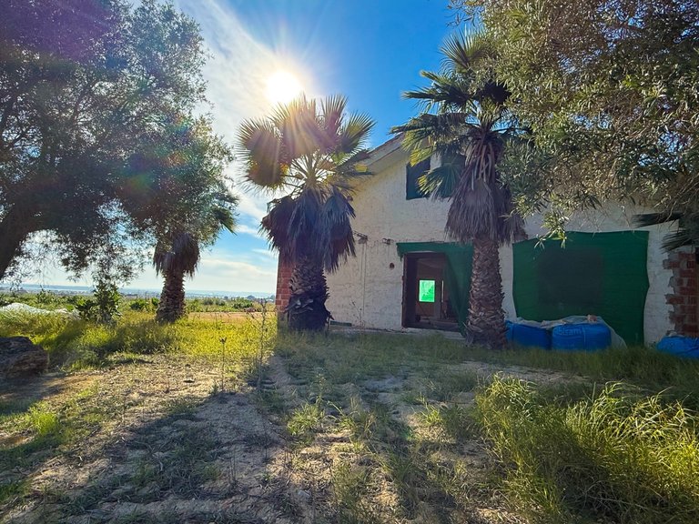 Country House for Sale in Guardamar, Guardamar Del Segura, Alicante 5