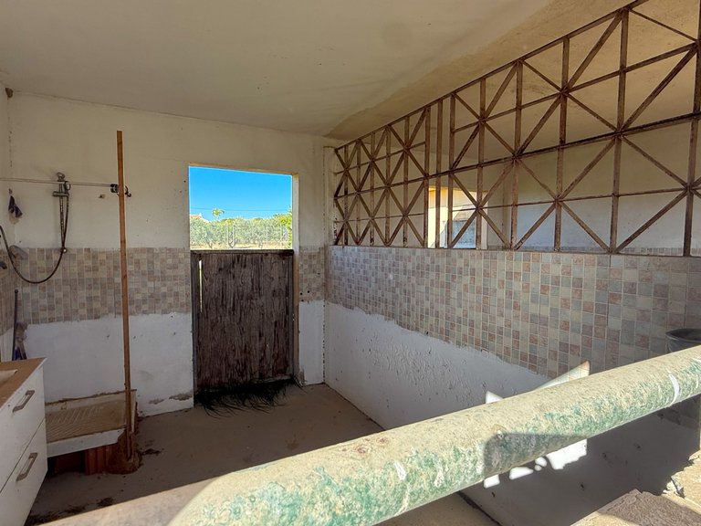 Country House for Sale in Guardamar, Guardamar Del Segura, Alicante 11