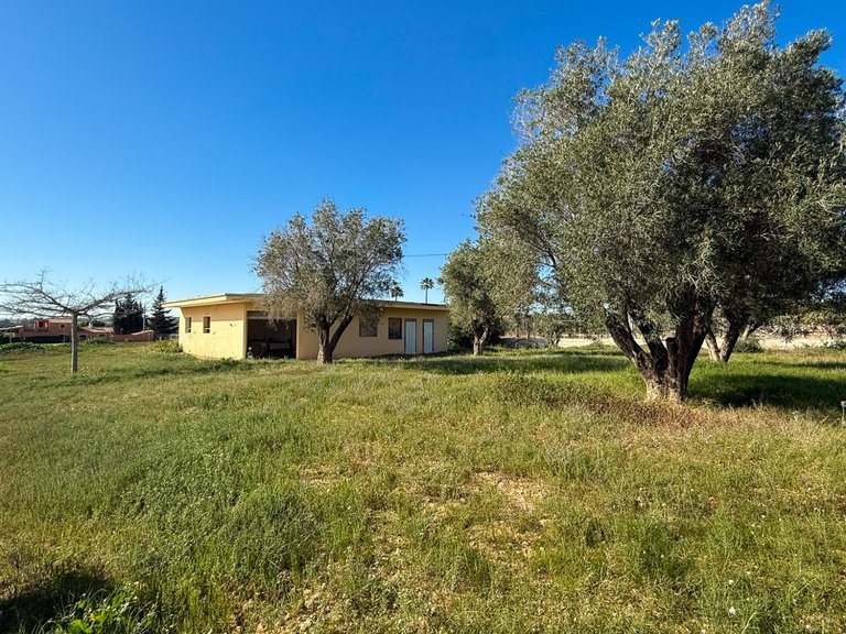 Country House for Sale in Guardamar, Guardamar Del Segura, Alicante 6