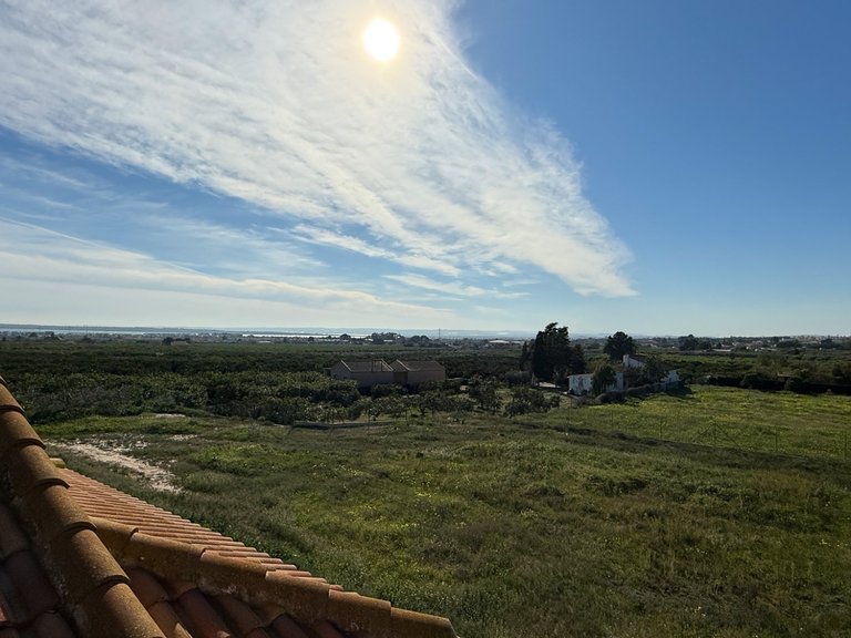 Country House for Sale in Guardamar, Guardamar Del Segura, Alicante 15